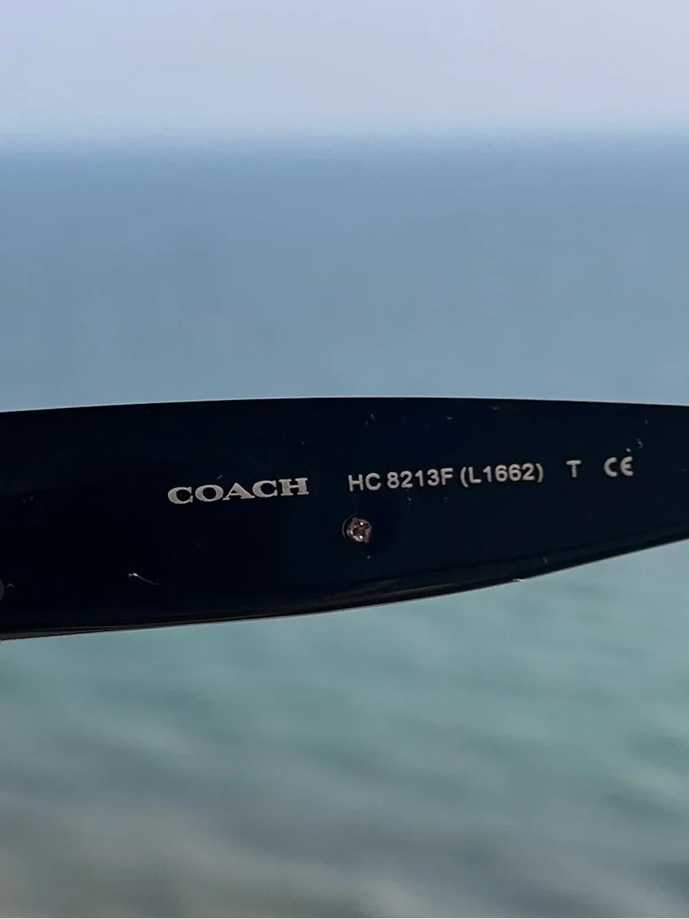 Coach Amber Saddle Glitter Sunglasses